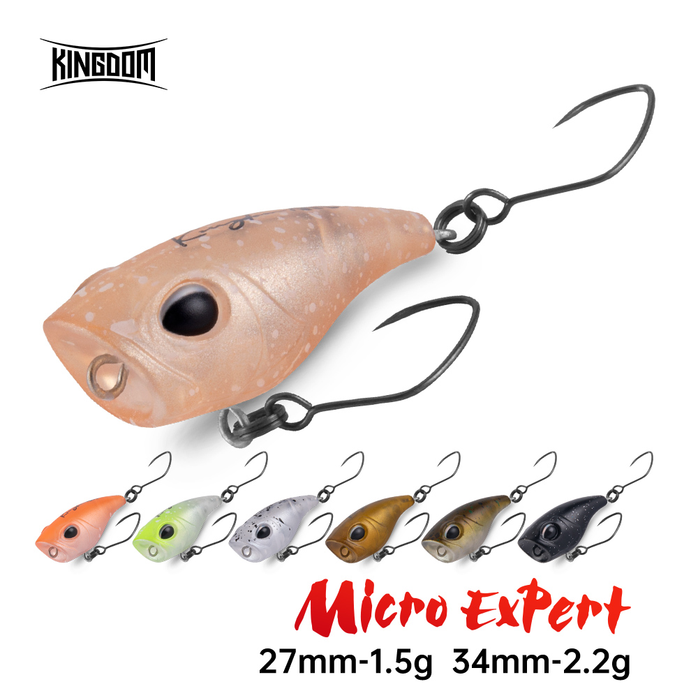 Kingdom Micro Expert Topwater  - Fishing Lure Popper avis et prix
