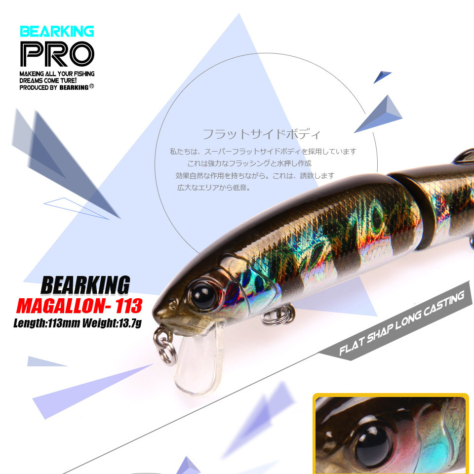 Bearking-Leurre rigide de type - Fishing Lure Crankbait avis et prix